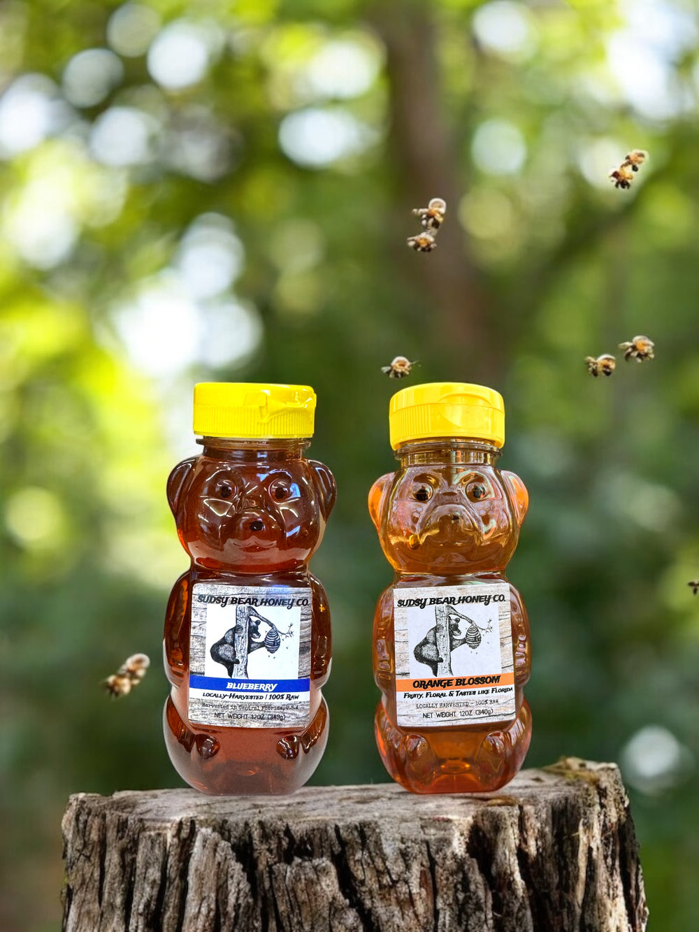 12oz Honey Bear Duo - Blueberry & Orange Blossom Honey