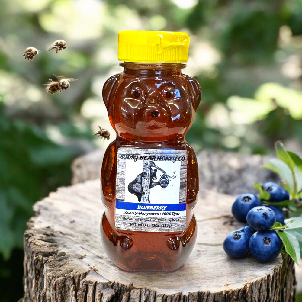 12oz Honey Bear - Florida Blueberry
